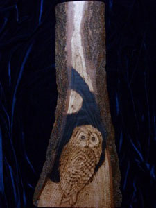 Owl on ash